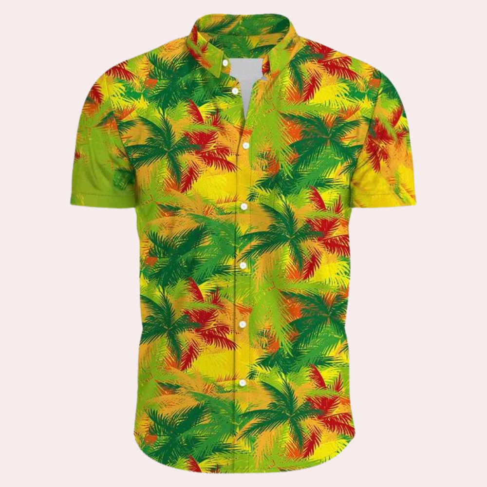 Andre - Colourful and trendy Hawaiian shirt for men for summer