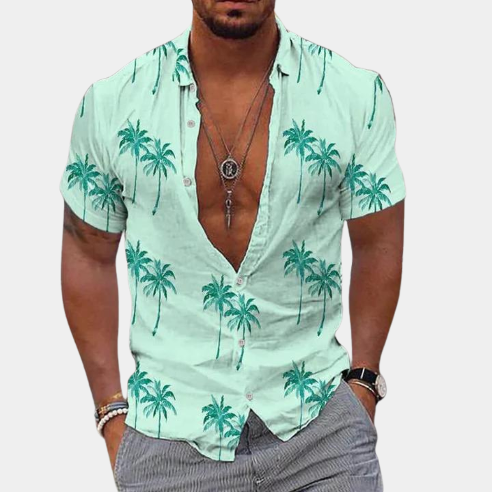 Berne - Simple Men's Shirt for Summer