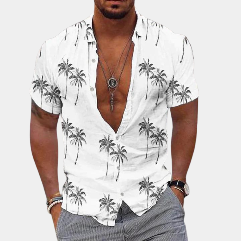 Berne - Simple Men's Shirt for Summer