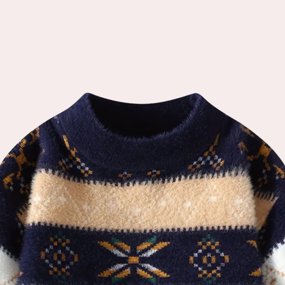 BIRDHIL - Elegant Jumper for Men