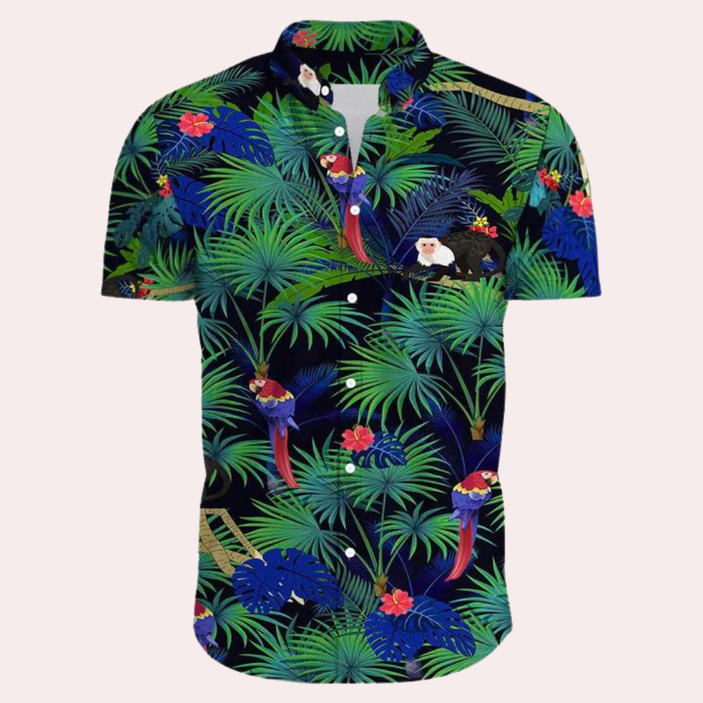 Andre - Colourful and trendy Hawaiian shirt for men for summer