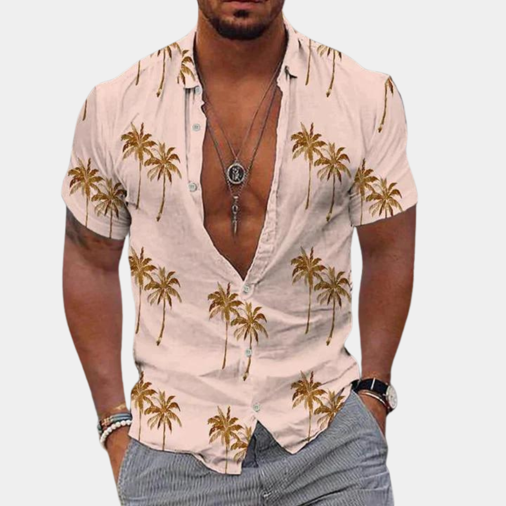 Berne - Simple Men's Shirt for Summer